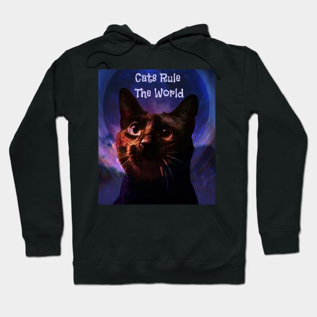 Cats Rule The World Hoodie by Kenen's Designs